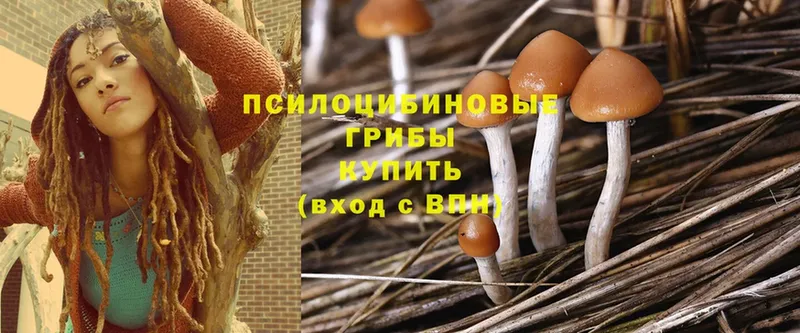 Галлюциногенные грибы MAGIC MUSHROOMS  наркотики  omg рабочий сайт  Богородицк 